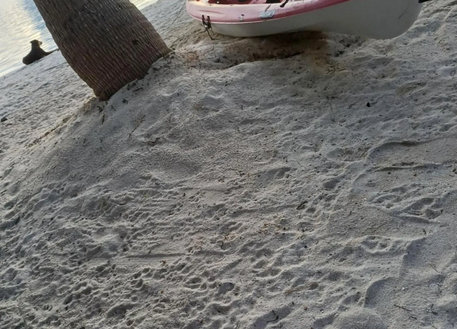 Poemanahere Island Camping A Maupiti Te-Fare-Arii 0*,  بولينيزيا الفرنسية