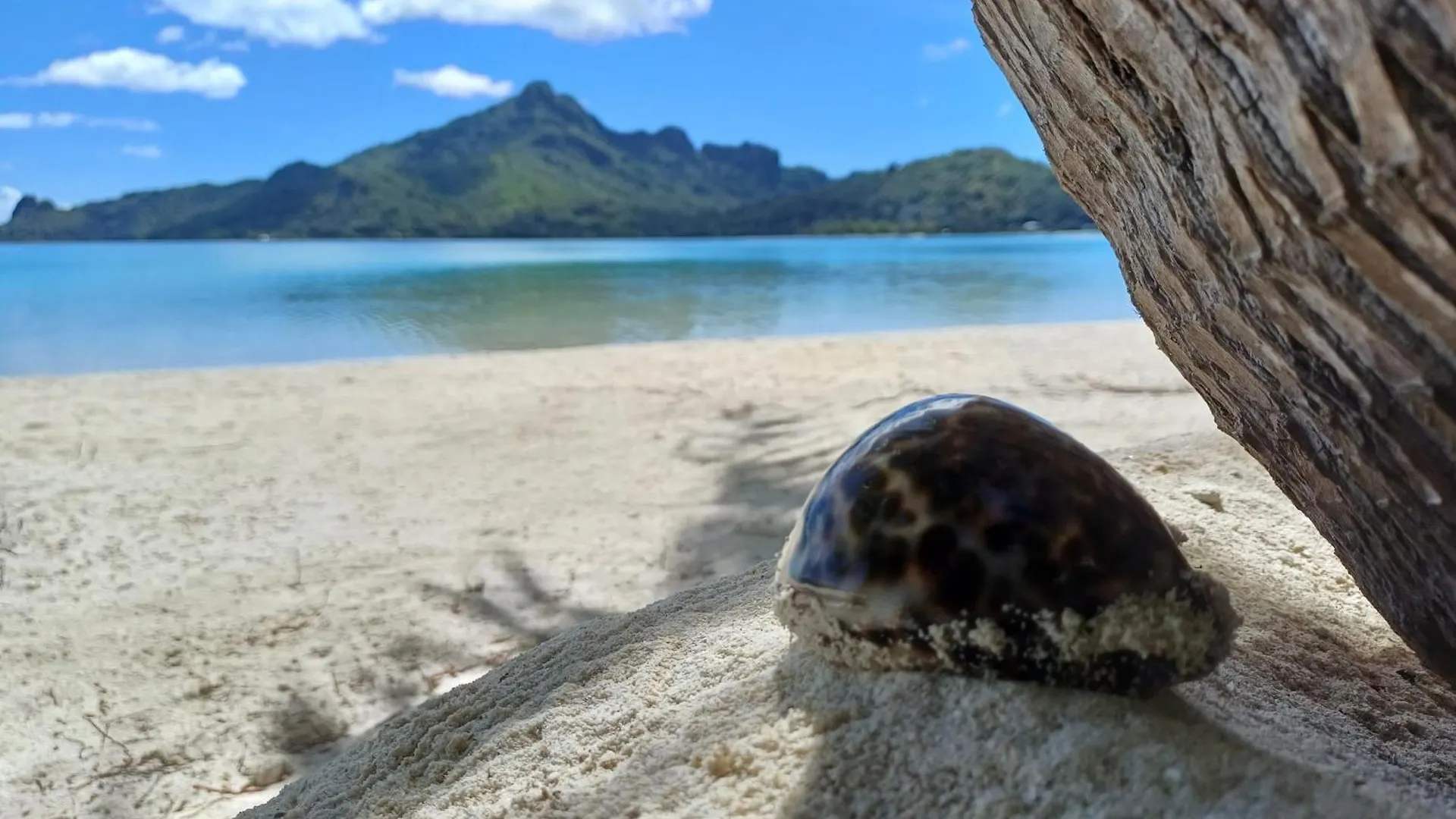 Poemanahere Island Camping A Maupiti Te-Fare-Arii Campeggio