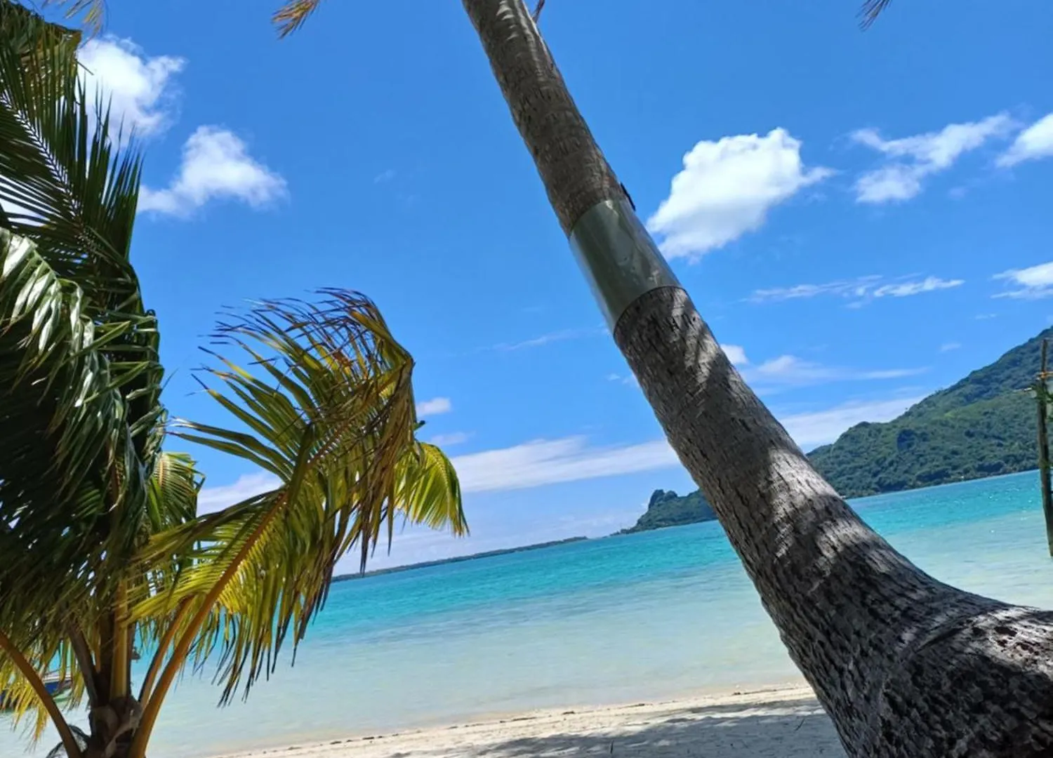 Poemanahere Island Camping A Maupiti Te-Fare-Arii 0*,